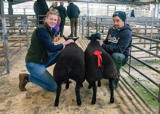 First prize lambs any other breed at Dumries Mart Christmas Show Dutch Spotted x Beltex from A Jackson